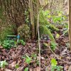 04 Aktion April 25 Feen und Wichtelwald